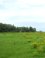 Groen2