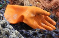 De zee verlost van een handschoen