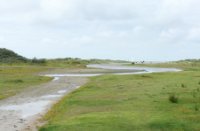 Duigebied en water