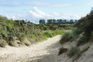 Duinen