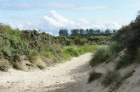 Duinen