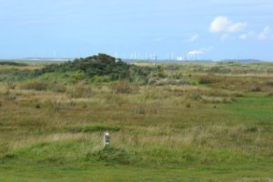 Natuur en industrie