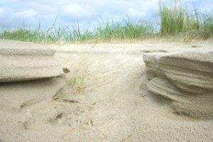 Duin sculptures