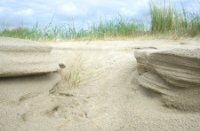 Duin sculptures