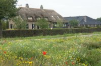 Boerderij aan de rand van Rucphense Bossen