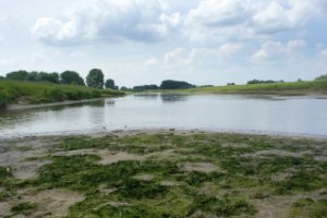 IMG_003