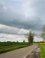 koolzaadvelden bij Thezinge (Groningen)