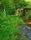 Meanderende Leuvenumse Beek