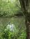 Nationaal Park De Biesbosch