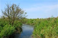 Wandelen langs het Haringvliet..., Korendijkse Slikken