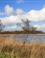 Rietvelden bepalen het beeld