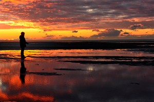 Atilla bij zonsondergang Oostvoornse Slikken