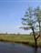 Nationaal Park Alde Feanen