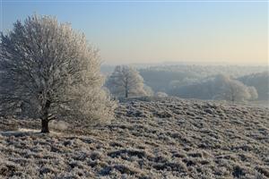 De witte oase met staal blauwe lucht in Veluwezoom