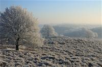 De witte oase met staal blauwe lucht in Veluwezoom
