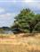 Nationaal Park Dwingelderveld