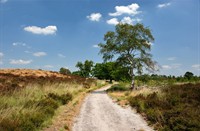 Landgoed De Hamert heeft een uitgebreide wandelroutenetwerk