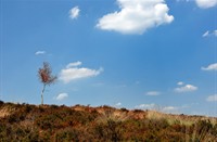 Landgoed De Hamert is een fotogeniek natuurgebied