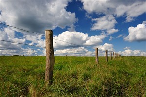 Typisch Hollands polder landschap