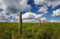 Typisch Hollands polder landschap