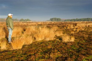 Vergeet niet te genieten van de uitzicht tijdens zonsopkomst.