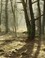 Mist bepaalde sfeer in het landgoed Het Ooievaarsnest.