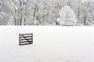 Maagdelijk witte graasgebieden