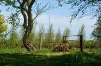 Doorkijkjes op de appelsdijk - Geldermalsen