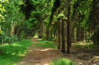 Wandelroutes van Landgoed De Utrecht