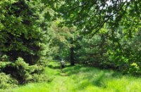 Grazige wandelpaden in Landgoed De Utrecht