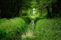 Doorkijkjes langs de wandelroutes in de Broekpolder
