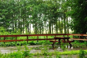 Rust heerst overal in de regen