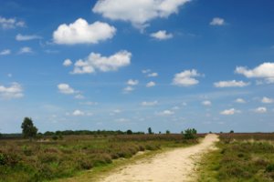 Voormalige weg naar Amersfoort