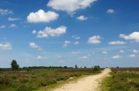 Voormalige weg naar Amersfoort