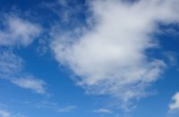 Blauwe lucht en heide in bloei