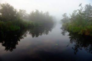 Uizicht vanuit het vondelpad naar de kijkscherm