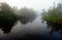 Uizicht vanuit het vondelpad naar de kijkscherm