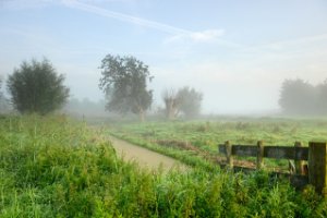 Polders naast de De Zouweboezem