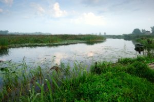 Uitzicht op de Zouwebezoem
