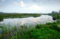 Uitzicht op de Zouwebezoem