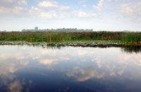 Weerspiegeling van het lucht op De Zouweboezem