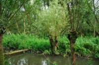 Getijdennatuur de Klein Profijt