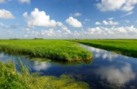 Typisch Hollands wolken en weilanden