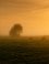 Zonsopkomst bij Polder Berkenwoude
