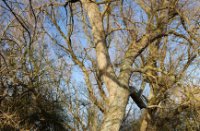Start van de wandeling bij het Waterbos