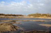 Herstel van duinen in het waterbos
