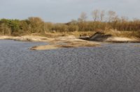 Plassen gevormd tijdens de herstel van duinen