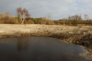 Waterbos in Duinen van Voorne naar oorspronkelijke vorm