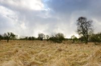 Donkere wolken boven het natuurgebied Slikken van de Heen
