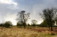 Indrukwekkende wolken partijen